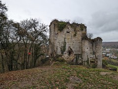 Belgium 2023 - November 26 - Dourbes - Hauteroche castle