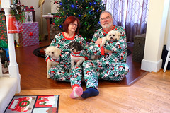 Christmas Jammies with the Dogs