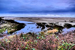 2023-12-27 Driftwood Shores in Florence, Oregon