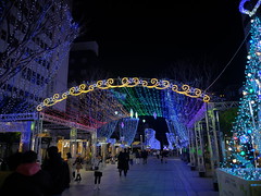 christmas-illuminations-on-aoba-symbol-road-in-shizuoka-city_241223