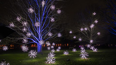 Kew Gardens Light Display