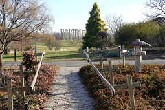 Arboretum in winter, January 2024