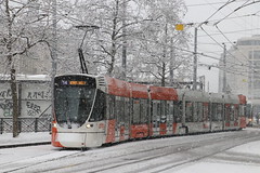 Genève (CH) TPG Trams (4) [2024->