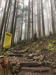 Vancouver Grouse Grind trail