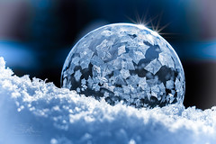 Snowflakes and Icy Close-Ups