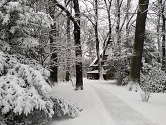 Winter in Park Szczytnicki, Wrocław, Poland.