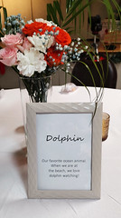 The Dolphin Table