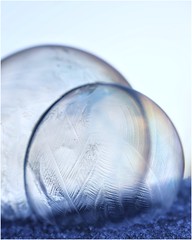 Frozen bubbles 2024