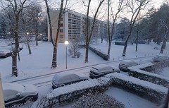 Janvier 2024 Chantilly sous la neige ou mes premières photographies au plein format