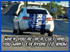 Trump CULT CAR