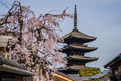 Kyoto, Japan 2023