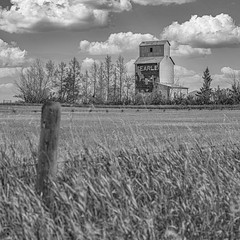 Grain Elevators of Alberta