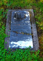 2016-04-30 Gillespie Pioneer Cemetery