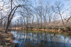 Feeder Brook @ Shenandoah River State Park - Bentonville, VA, USA