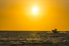 Sunset Boating - St. Pete Beach, Florida