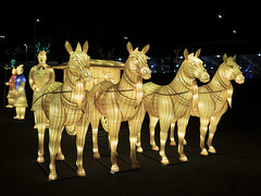 Terracotta Warriors and Horses - Illuminated Display