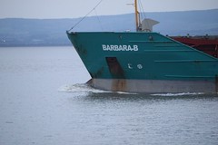 Barbara-B