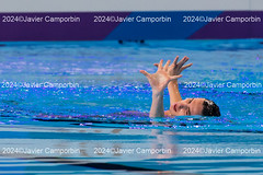 World Aquatics Championship. Sincro. Final. Solo. Hombres. Libre. Doha. Febrero 2024.