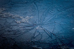 Patterns in the Ice - FEB7 2024