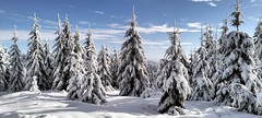 Winter in Góry Suche, Poland. Part 2.