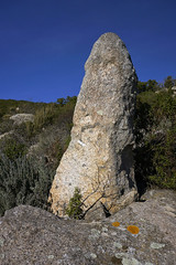 Isola d'Elba Megalitica