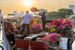 Floating flower market 2024 tet