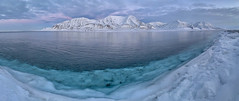 Svalbbard / Spitzbergen - Arktis