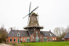 molens / windmills