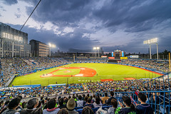 Meiji Jingu Stadium / Tokyo Swallows 2023 