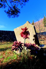 cimitero a monti 20022024