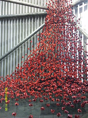 The Poppies at the Imperial War Museum North"