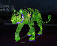 Year of the Tiger illuminated display