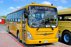 Buses & Coaches - Dutch Caribbean