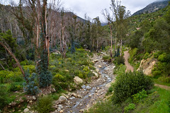 San Ysidro Trail