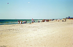 Beach Scene, Indian Rocks Beach, 2002