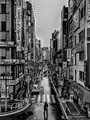 Shinjuku (Tokyo, Japan)