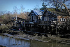 ♥️ Steveston Fishing Village, Village of Finn Slough, Britannia Shipyards, Garry Point Park, Richmond (2024)
