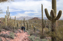 Tucson Trails...2-24-24