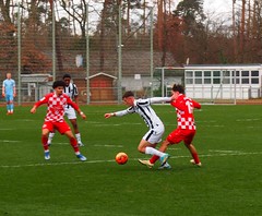 U19: SV Sandhausen - Mainz 05