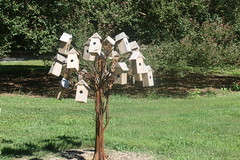 Beakitecture - Birdhouses Norfolk Botanical Garden