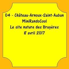 04 - Château-Arnoux-Saint-Auban - MiniRandoCool - Site Nature des Bruyeres - 8 avril 2017