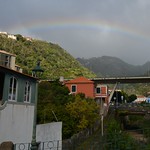 ROSENTHALER Madeira 2024 (847)