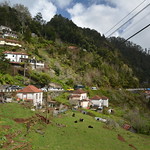 ROSENTHALER Madeira 2024 (771)