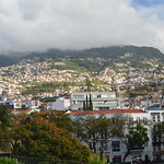 ROSENTHALER Madeira 2024 (68)