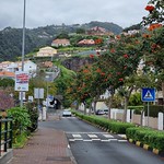 ROSENTHALER Madeira 2024 (33)