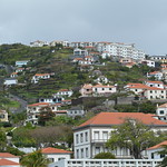 ROSENTHALER Madeira 2024 (850)