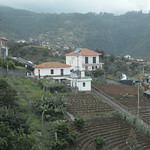 ROSENTHALER Madeira 2024 (774)