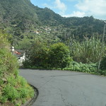ROSENTHALER Madeira 2024 (777)