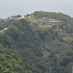 ROSENTHALER Madeira 2024 (851)