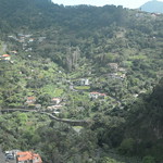 ROSENTHALER Madeira 2024 (776)